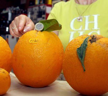 Naranjas de un 1 kilo y 200 gramos