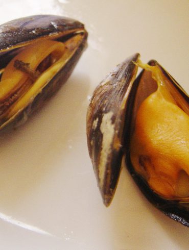 Mejillones