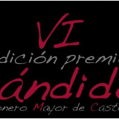 VI Premios Cándido Mesonero Mayor de Castilla