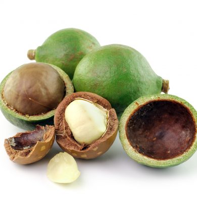 Nueces de Macadamia