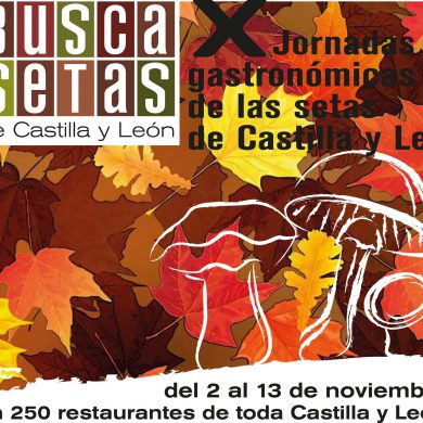 Busca Setas 2011