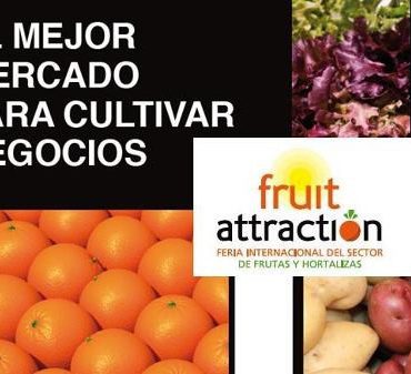 Fruit Fusión 2012