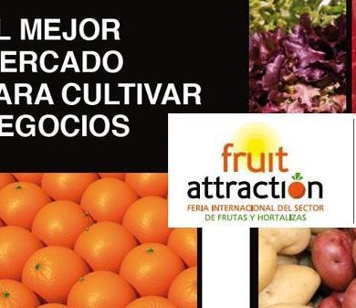 Fruit Fusión 2012