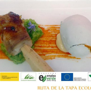 ruta de la tapa ecologica 2012