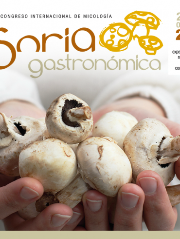 Soria Gastronómica 2012