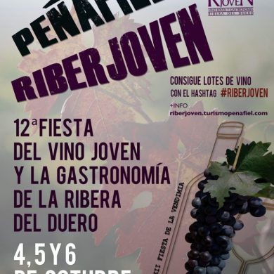 CARTEL RIBERJOVEN-2013