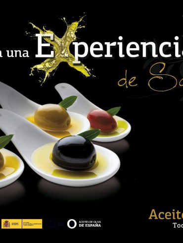 Experiencias Aceites de Oliva de España