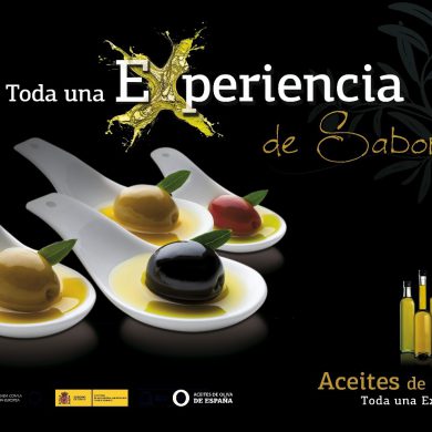 Experiencias Aceites de Oliva de España