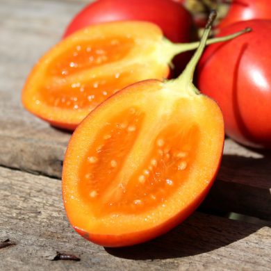 Tamarillo o Tomate de árbol