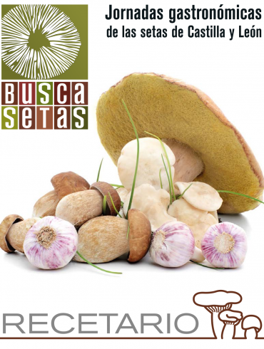 BUSCASETAS 2014