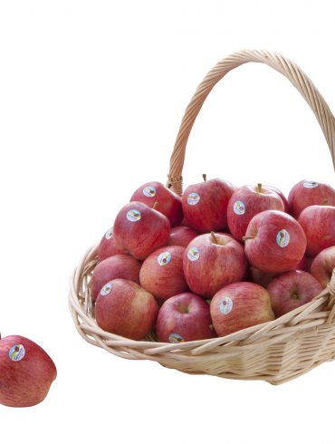 Manzanas Val Venosta