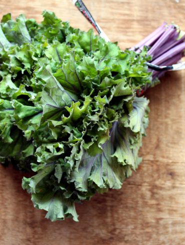 Kale, el superalimento de moda