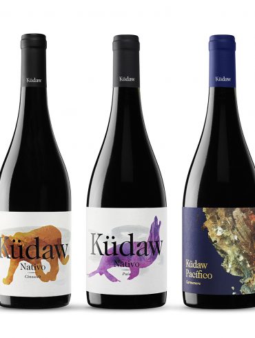 Küdaw, los vinos chilenos de Vintae