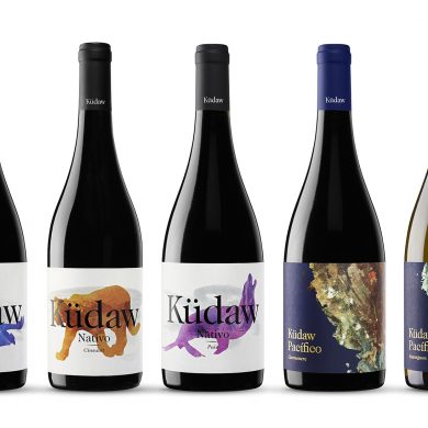 Küdaw, los vinos chilenos de Vintae