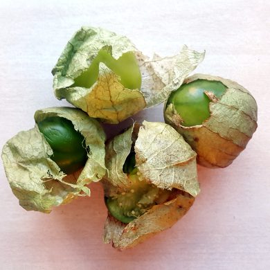 tomatillos 2